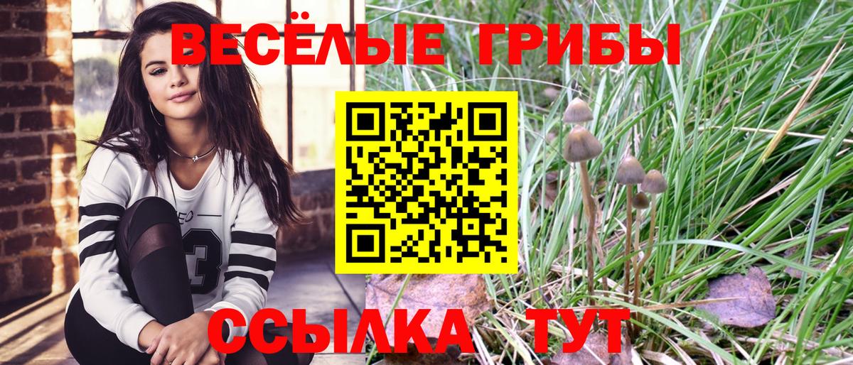 Курчатов  Псилоцибиновые грибы ЛСД  Вход с VPN 